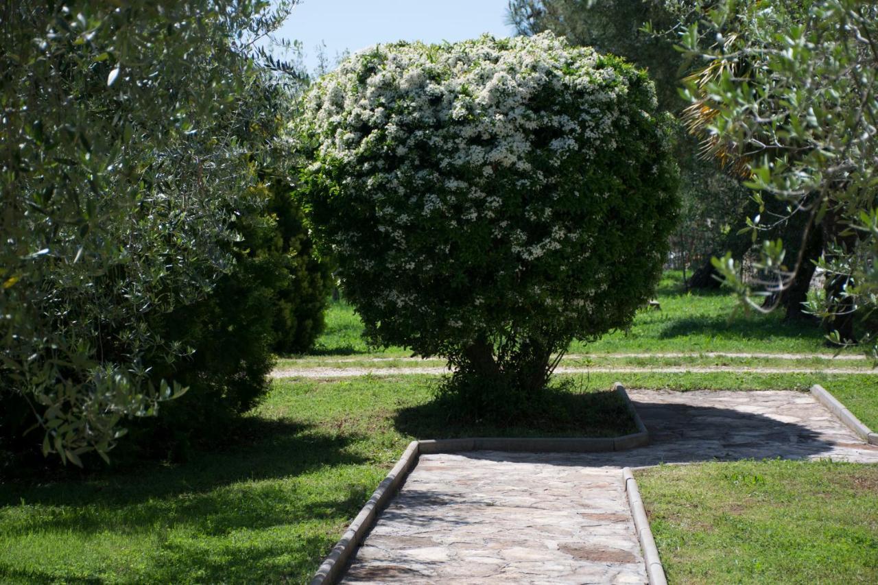 Sanja Apartments Sveti Servul Novigrad Istria Exteriér fotografie